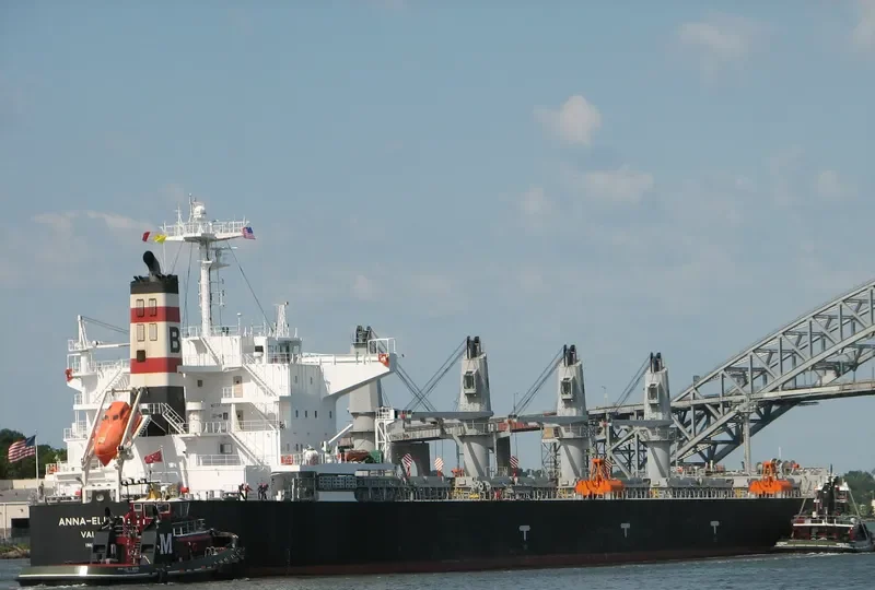 ANNA ELISABETH Bulk Carrier IMO 9407471 photo 10