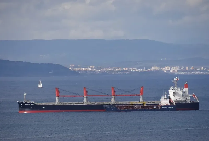 OREO Bulk Carrier IMO 9407483 photo 5