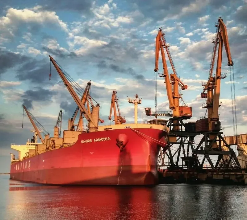 ELEEN ARMONIA Bulk Carrier IMO 9407495