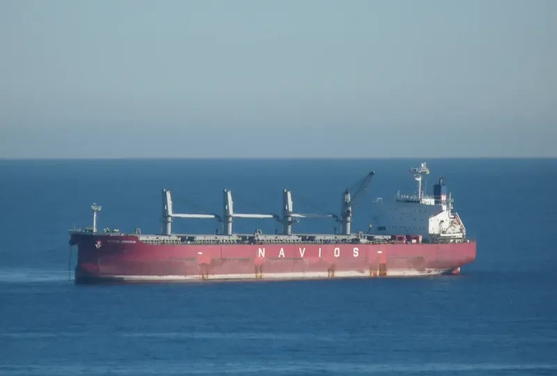 ELEEN ARMONIA Bulk Carrier IMO 9407495 photo 4