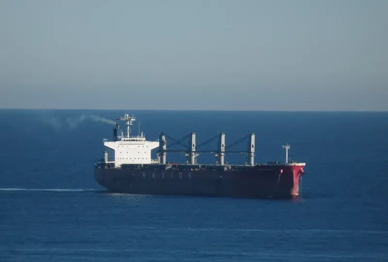 ELEEN ARMONIA Bulk Carrier IMO 9407495 photo 5