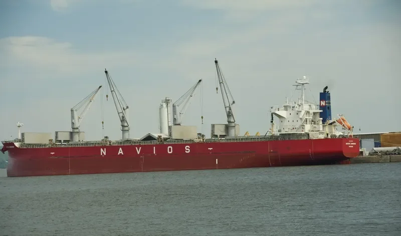 ELEEN ARMONIA Bulk Carrier IMO 9407495 photo 6