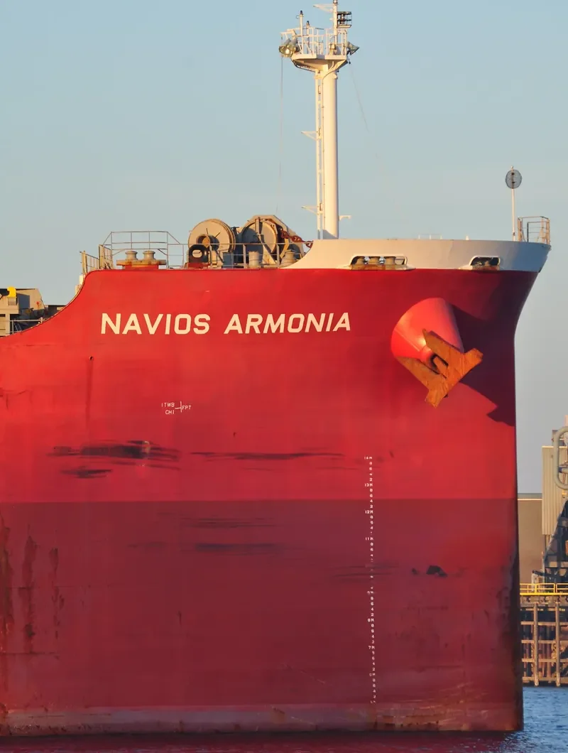 ELEEN ARMONIA Bulk Carrier IMO 9407495 photo 7