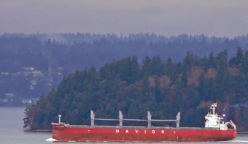 ELEEN ARMONIA Bulk Carrier IMO 9407495 photo 10
