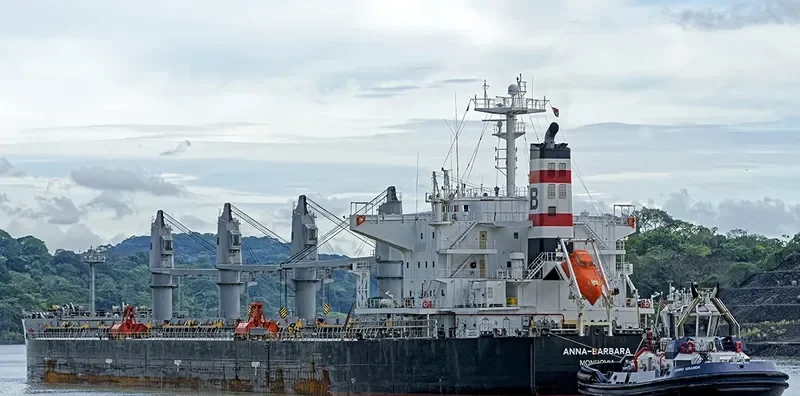 ANNA BARBARA Bulk Carrier IMO 9407500 photo 2