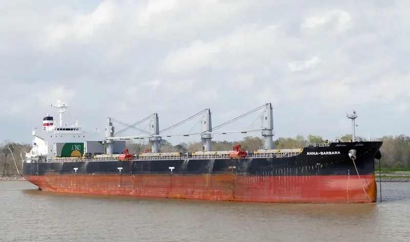 ANNA BARBARA Bulk Carrier IMO 9407500 photo 5