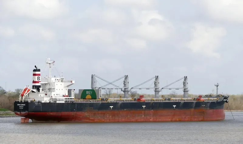 ANNA BARBARA Bulk Carrier IMO 9407500 photo 6