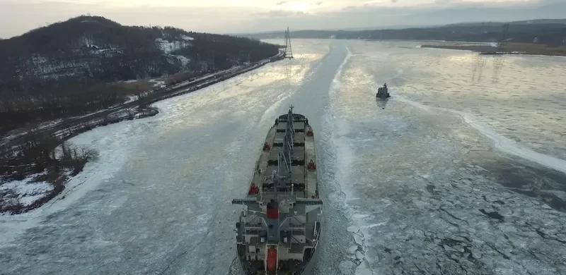 ELEEN SOFIA Bulk Carrier IMO 9407512