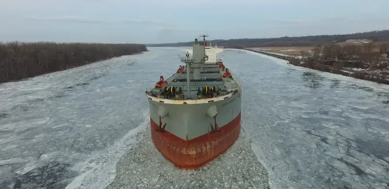 ELEEN SOFIA Bulk Carrier IMO 9407512 photo 2
