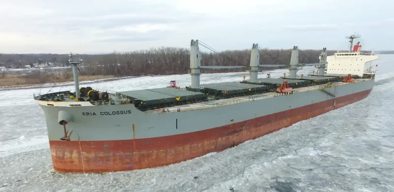 ELEEN SOFIA Bulk Carrier IMO 9407512 photo 3