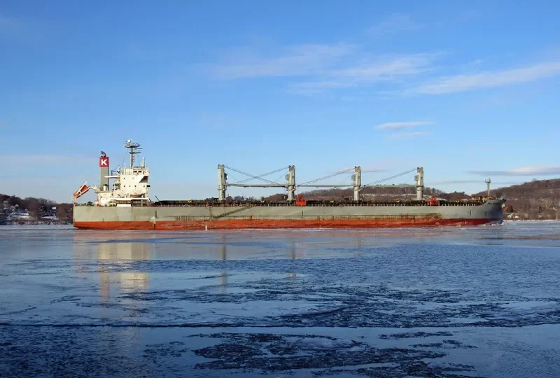 ELEEN SOFIA Bulk Carrier IMO 9407512 photo 4