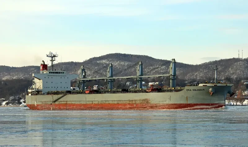 ELEEN SOFIA Bulk Carrier IMO 9407512 photo 5