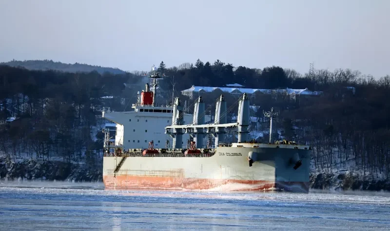 ELEEN SOFIA Bulk Carrier IMO 9407512 photo 6