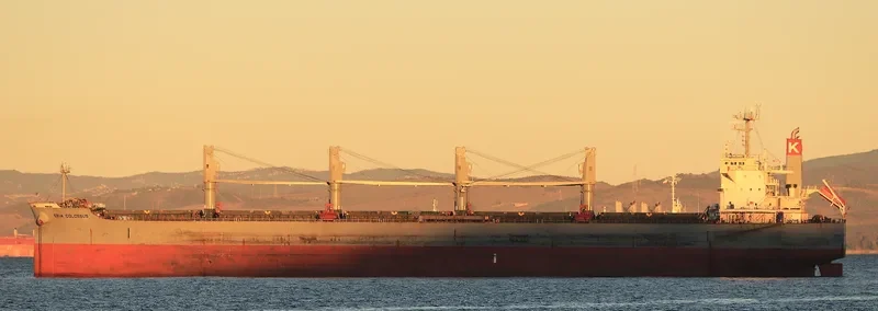 ELEEN SOFIA Bulk Carrier IMO 9407512 photo 7