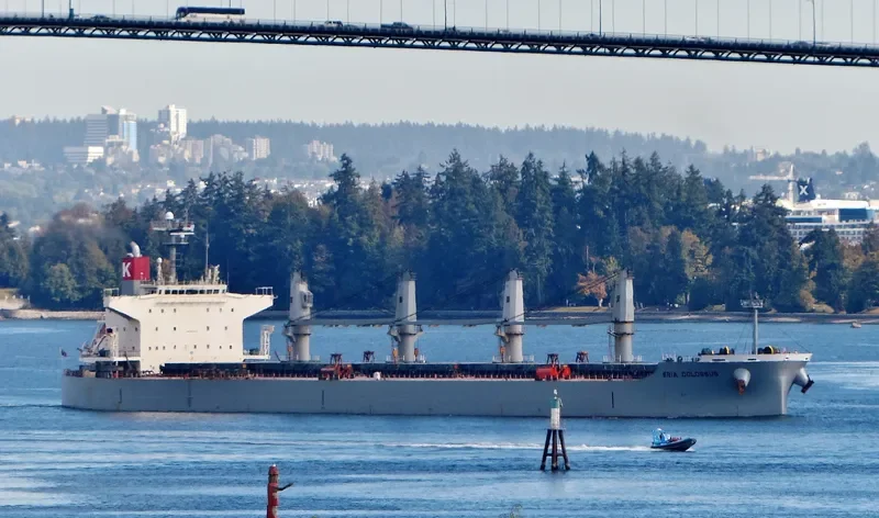 ELEEN SOFIA Bulk Carrier IMO 9407512 photo 9