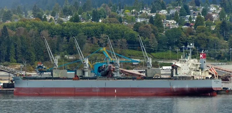 ELEEN SOFIA Bulk Carrier IMO 9407512 photo 10