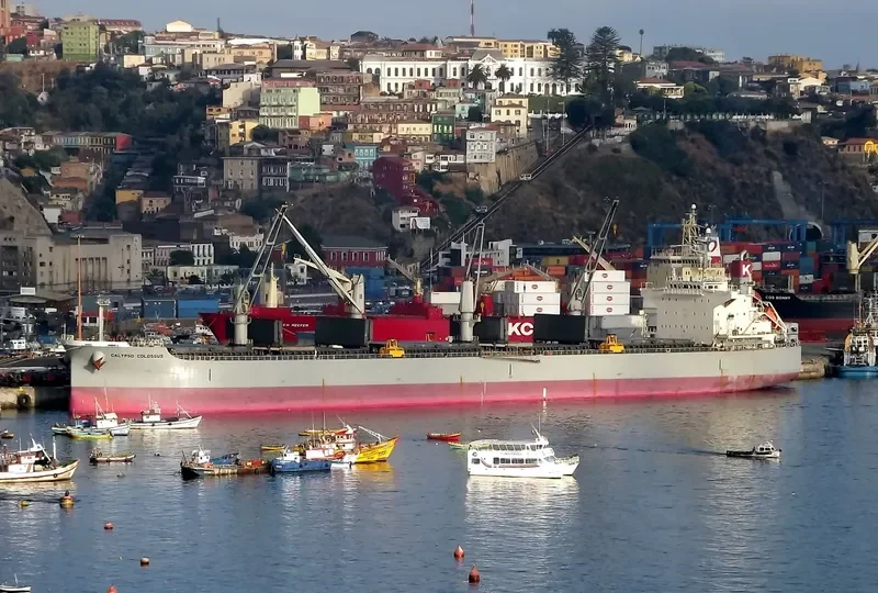 PPS LUCK Bulk Carrier IMO 9407524 photo 6