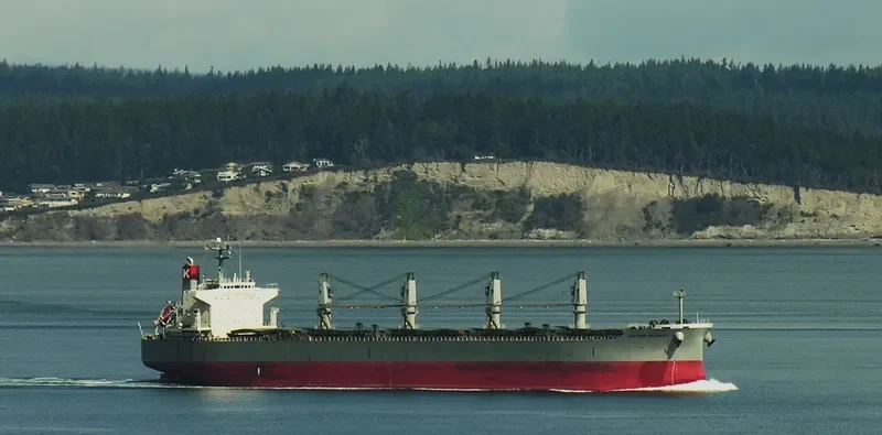 PPS LUCK Bulk Carrier IMO 9407524 photo 7