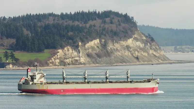 PPS LUCK Bulk Carrier IMO 9407524 photo 8