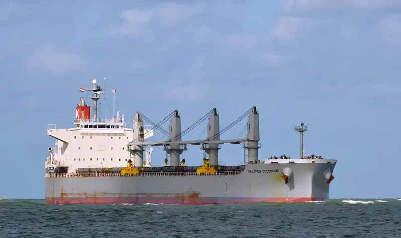 PPS LUCK Bulk Carrier IMO 9407524 photo 9
