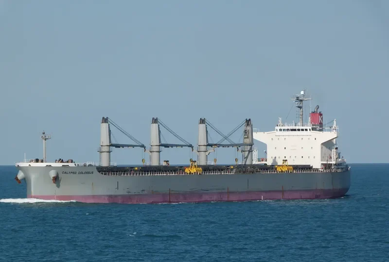 PPS LUCK Bulk Carrier IMO 9407524 photo 10