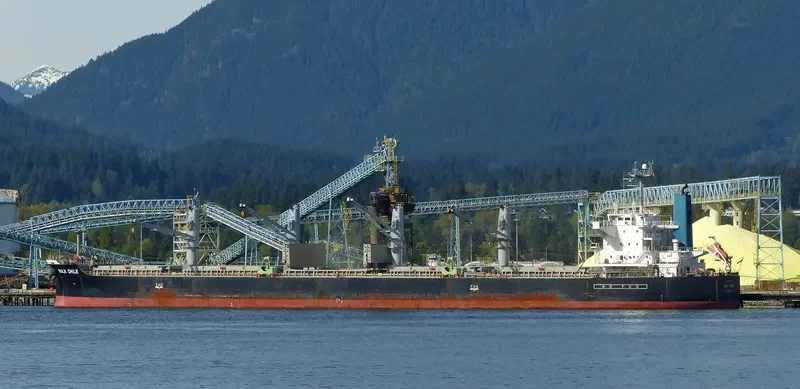 KHADEEJAH JAHAN II Bulk Carrier IMO 9407536 photo 3