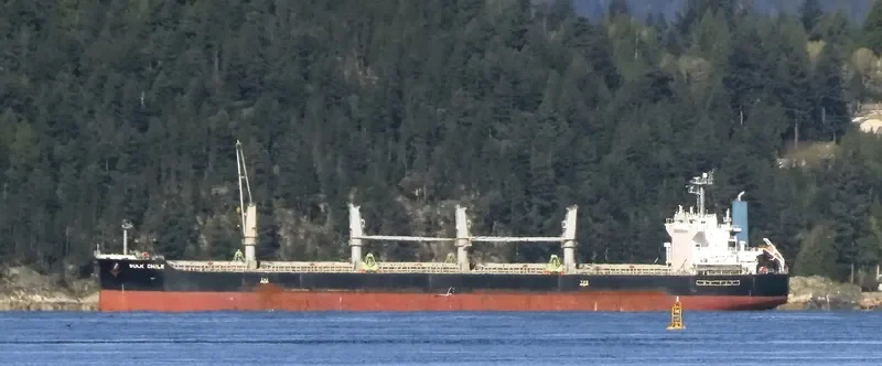 KHADEEJAH JAHAN II Bulk Carrier IMO 9407536 photo 7
