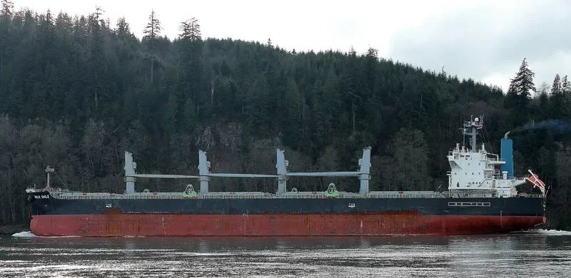 KHADEEJAH JAHAN II Bulk Carrier IMO 9407536 photo 9
