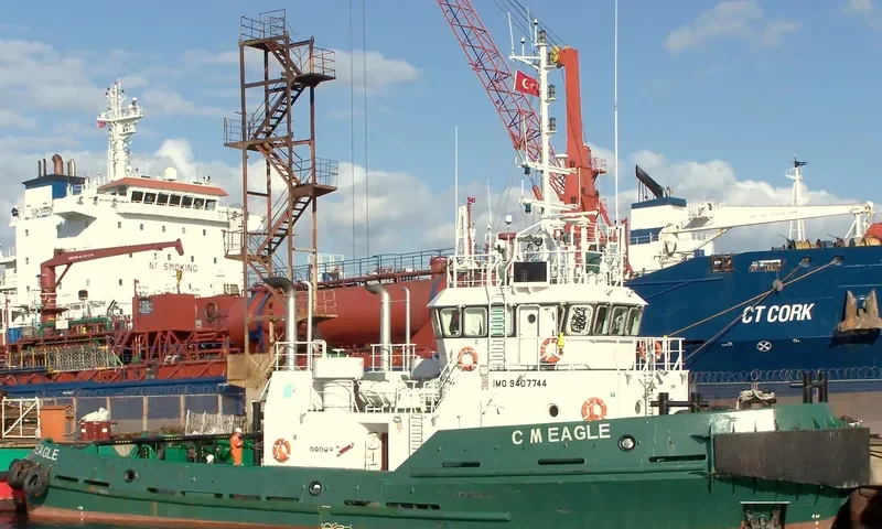 C.M.EAGLE General Cargo IMO 9407744