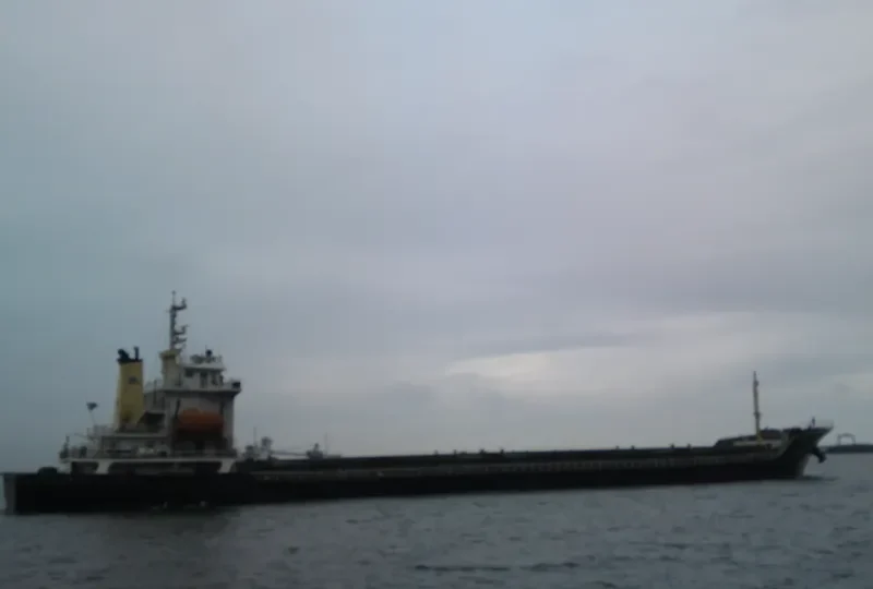 SHENG WEI 2 General Cargo IMO 9407811 photo 2