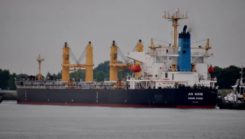 XIN AN NING Bulk Carrier IMO 9407859
