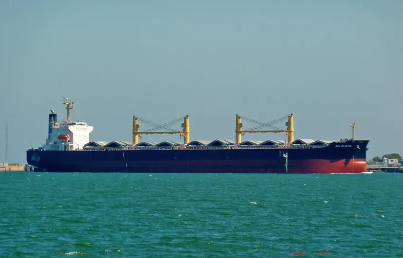 AN CHANG Bulk Carrier IMO 9407861 photo 10