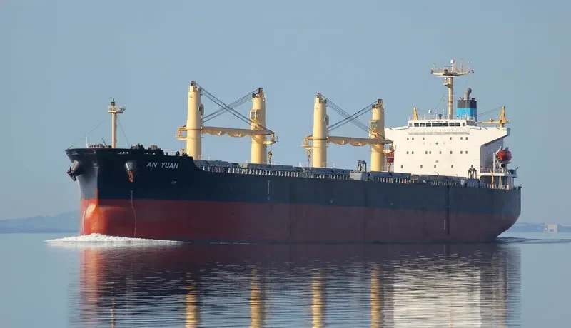 XIN AN YUAN Bulk Carrier IMO 9407873 photo 4
