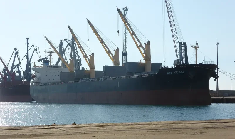 XIN AN YUAN Bulk Carrier IMO 9407873 photo 6