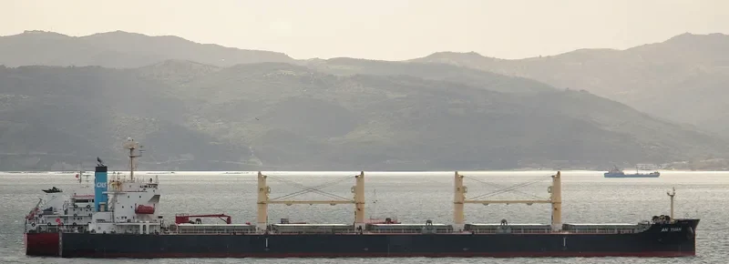 XIN AN YUAN Bulk Carrier IMO 9407873 photo 7