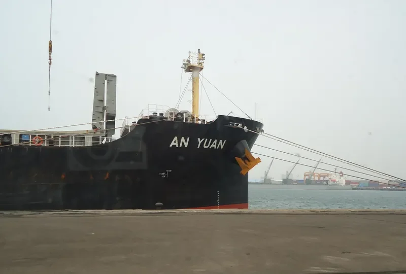 XIN AN YUAN Bulk Carrier IMO 9407873 photo 8