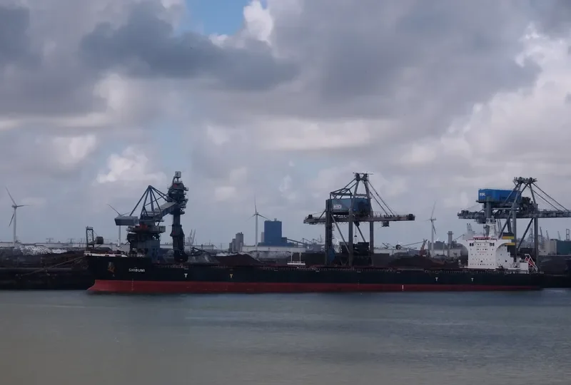 SHIBUMI Bulk Carrier IMO 9408085 photo 4