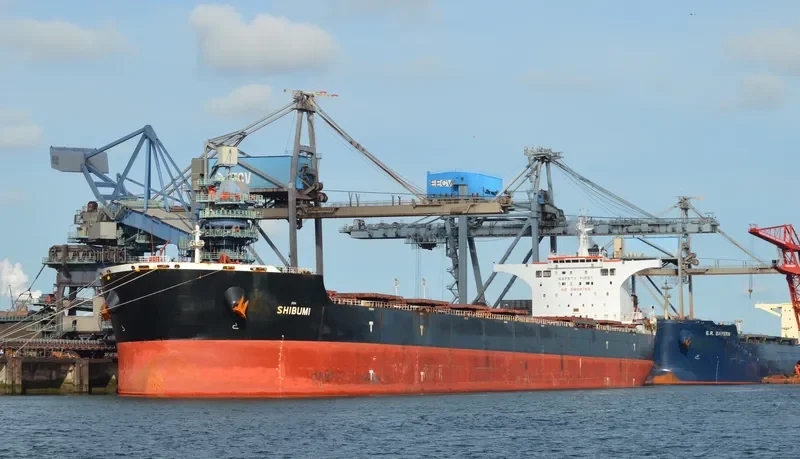 SHIBUMI Bulk Carrier IMO 9408085 photo 6