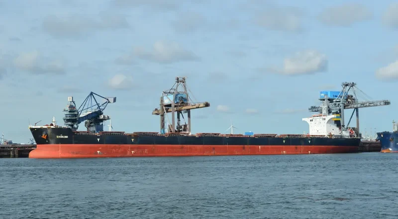 SHIBUMI Bulk Carrier IMO 9408085 photo 7