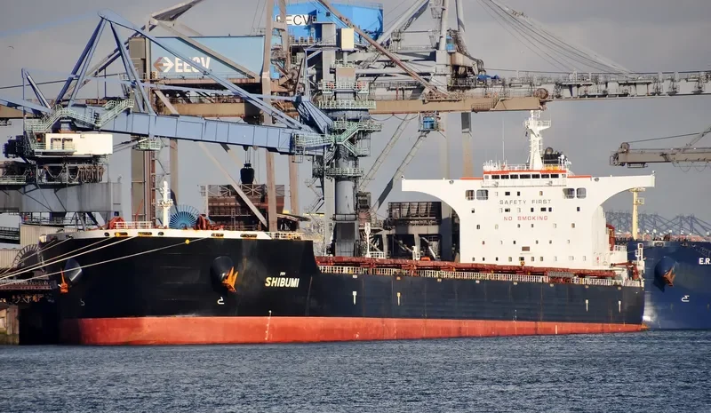 SHIBUMI Bulk Carrier IMO 9408085 photo 8