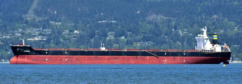 SHIBUMI Bulk Carrier IMO 9408085 photo 9