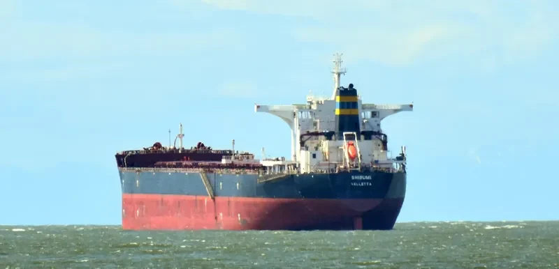 SHIBUMI Bulk Carrier IMO 9408085 photo 10