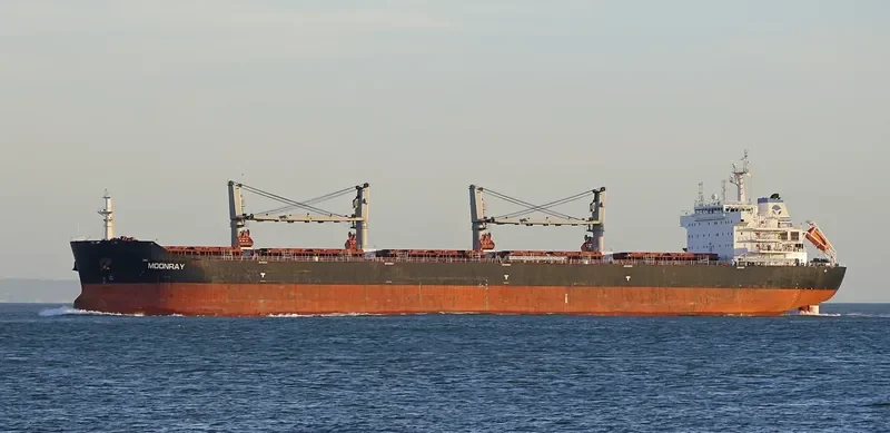 SINO OCEAN Bulk Carrier IMO 9408255 photo 2