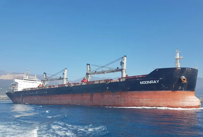 SINO OCEAN Bulk Carrier IMO 9408255 photo 3