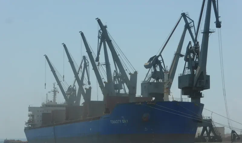 XIN HAI TONG 16 Bulk Carrier IMO 9408281 photo 3