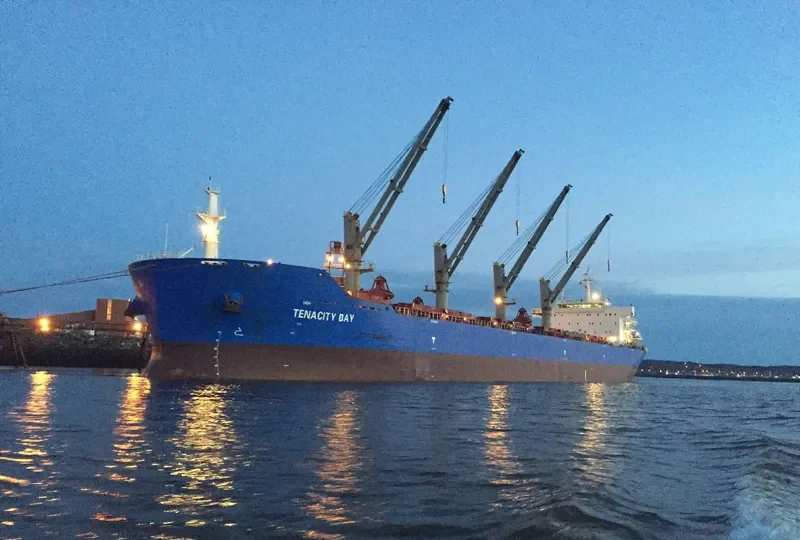 XIN HAI TONG 16 Bulk Carrier IMO 9408281 photo 5