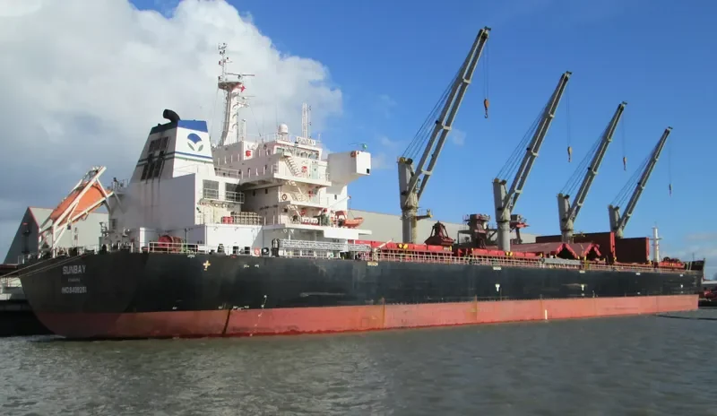 XIN HAI TONG 16 Bulk Carrier IMO 9408281 photo 6