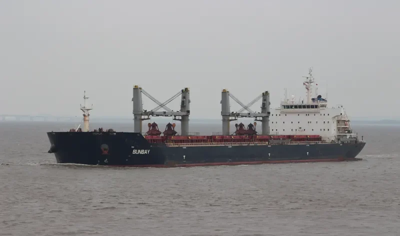XIN HAI TONG 16 Bulk Carrier IMO 9408281 photo 9