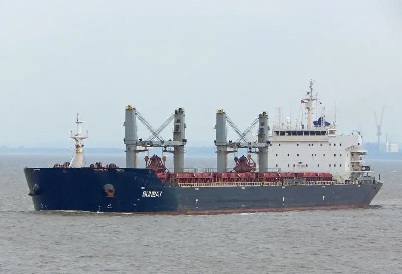 XIN HAI TONG 16 Bulk Carrier IMO 9408281 photo 10