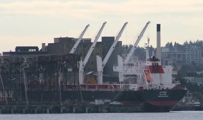 ATHOS Bulk Carrier IMO 9408293 photo 7